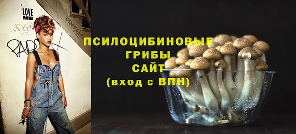 спайс Алексин
