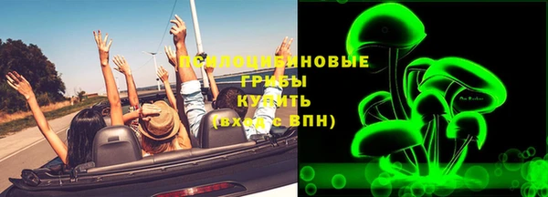 прущие грибы Ростов