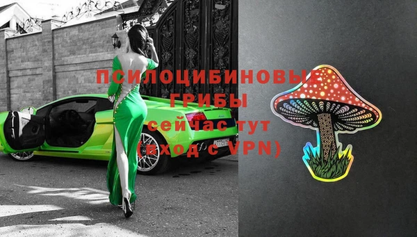 спайс Алексин