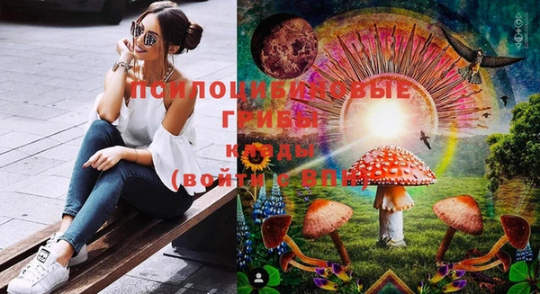 трава Аркадак