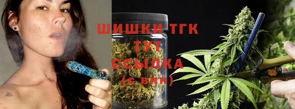 спайс Алексин