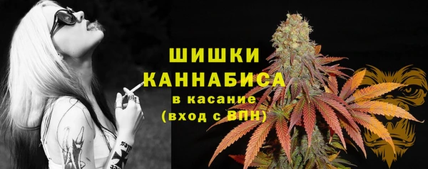бошки Алзамай