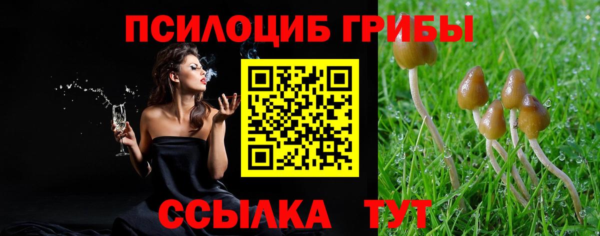 Галлюциногенные грибы Cubensis Уварово